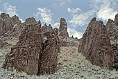 Ladakh - Hemis area famous for the trekking possibilities and for the Hemis Gompa.